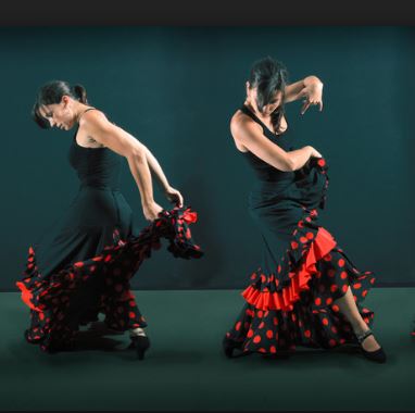 flamenco.JPG