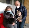 In Brianza anche tre gatti ucraini salvati dalle bombe